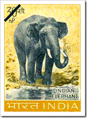 Indian Elephant Postage Stamp